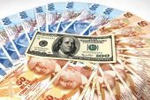 TL %8.49 Oranında Değer Kazandı