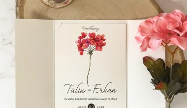 Her Zevke Uygun Davetiye Örnekleri Her Zevke Uygun Davetiye Örnekleri