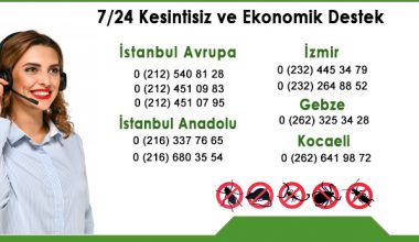 İstanbul Tuzla Böcek İlaçlama İstanbul Tuzla Böcek İlaçlama