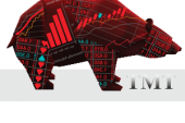 TMT Forex Akademi Nedir? Kurucusu Kimdir?