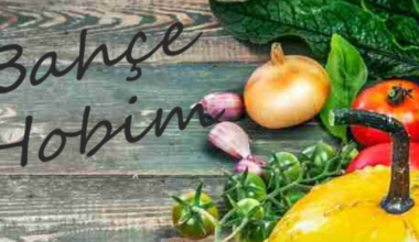 Kusursuz Bir Hikaye İle Var Olan Bahçe Hobim! Kusursuz Bir Hikaye İle Var Olan Bahçe Hobim!