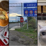 Ordu’da neden KFC Yok?